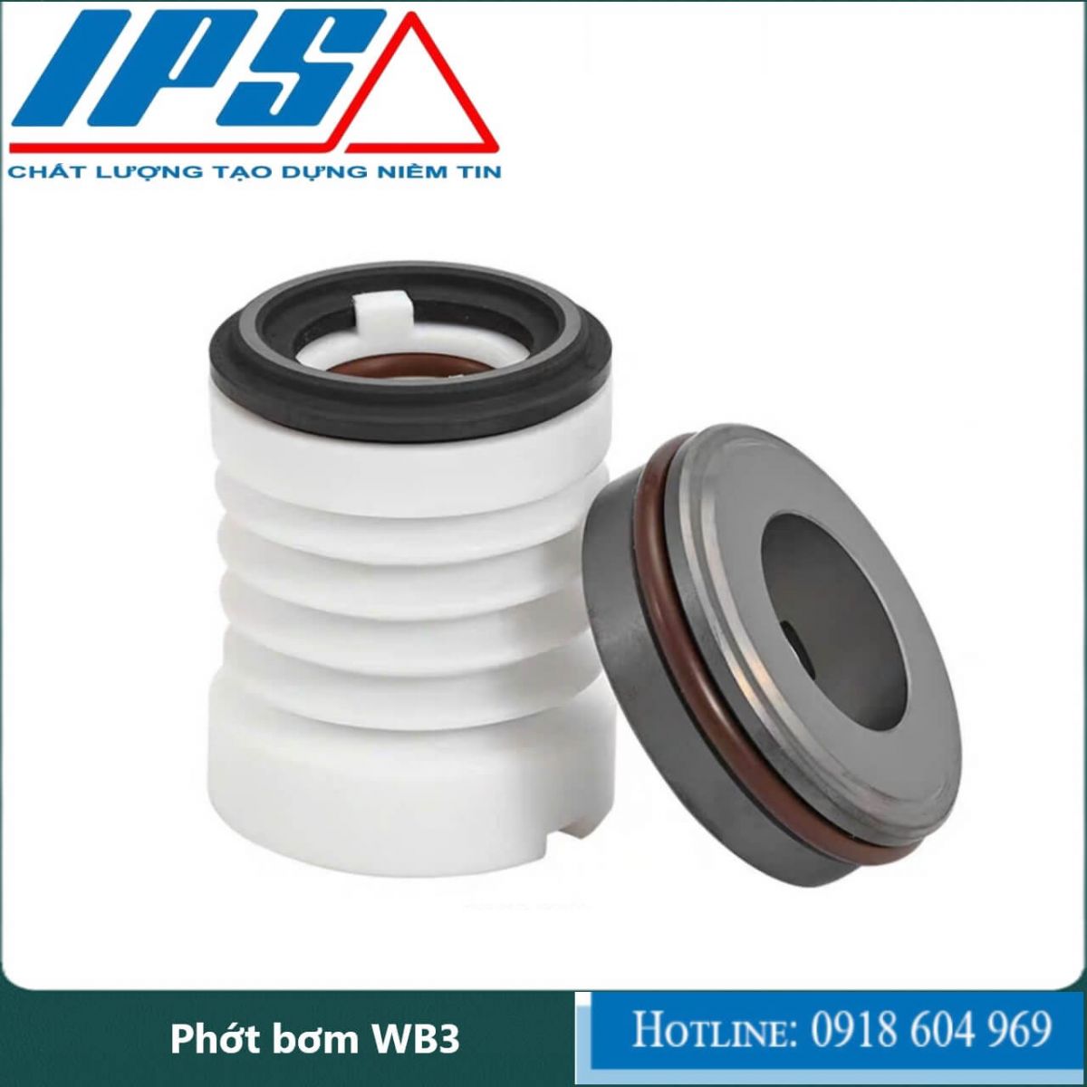 Phớt bơm WB3-11(1)